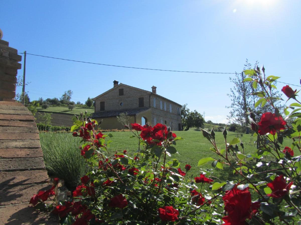 Agriturismo La Vecchia Fonte Guest House Castelbellino Exterior photo