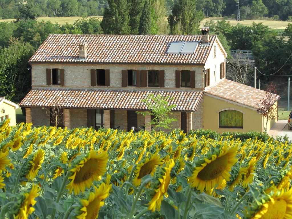 Agriturismo La Vecchia Fonte Castelbellino Exterior photo