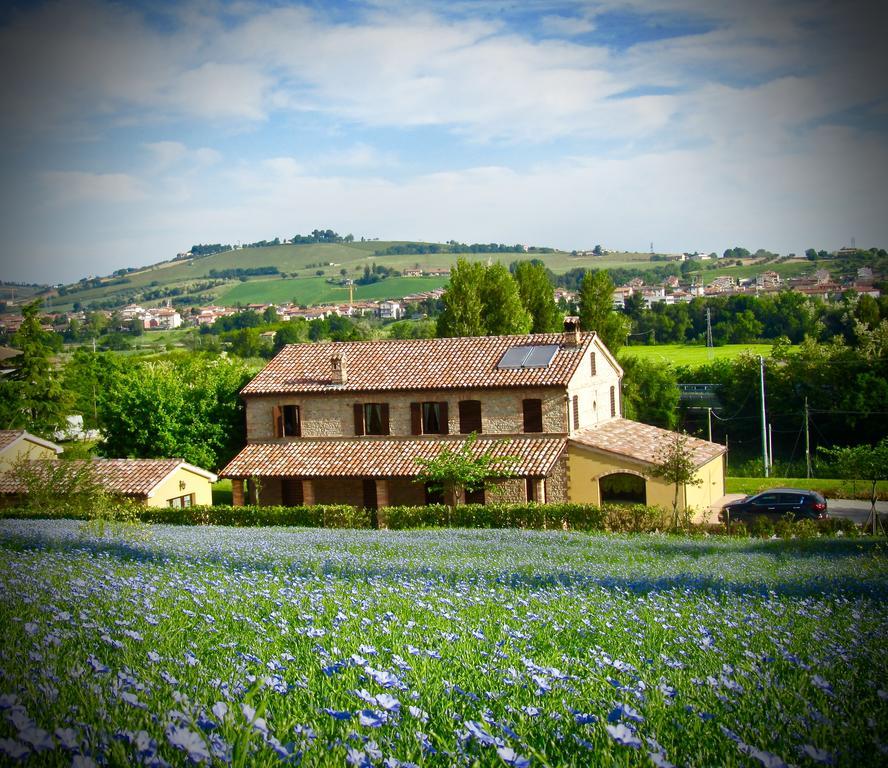 Agriturismo La Vecchia Fonte Castelbellino Exterior photo